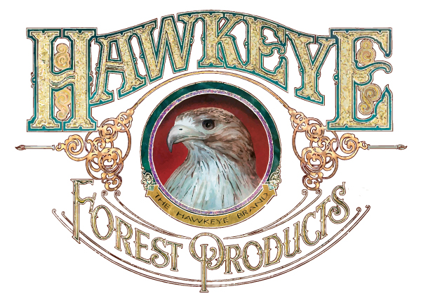 Hawkeye Logo Master Web White 01