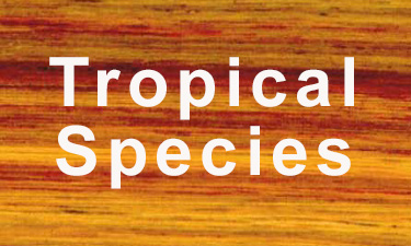 hardwood lumber tropical species