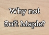 Soft Maple: Could it work for you?