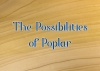 The Possibilities of Poplar