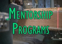 Mentorship Programs. Can They Help Your Business?